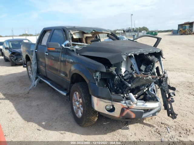 FORD F150 2014 1ftfw1et1ekg18019