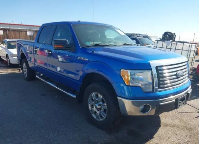 FORD F-150 2011 1ftfw1et2bfa59231