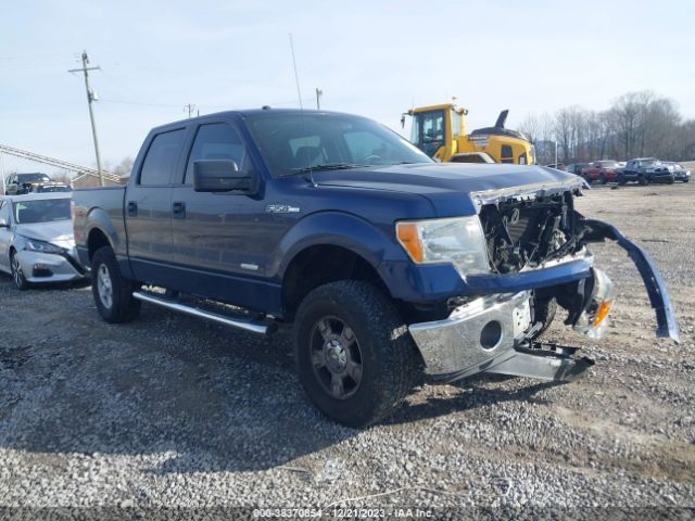 FORD F-150 2011 1ftfw1et2bfb52993