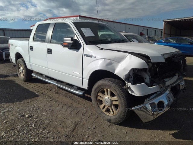 FORD F-150 2011 1ftfw1et2bfb59698