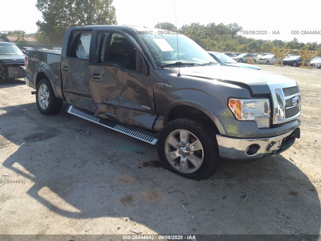 FORD F-150 2011 1ftfw1et2bfb76243