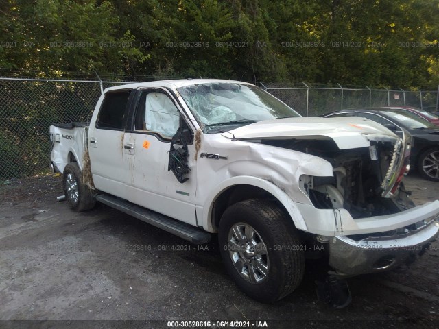 FORD F-150 2011 1ftfw1et2bfb96184