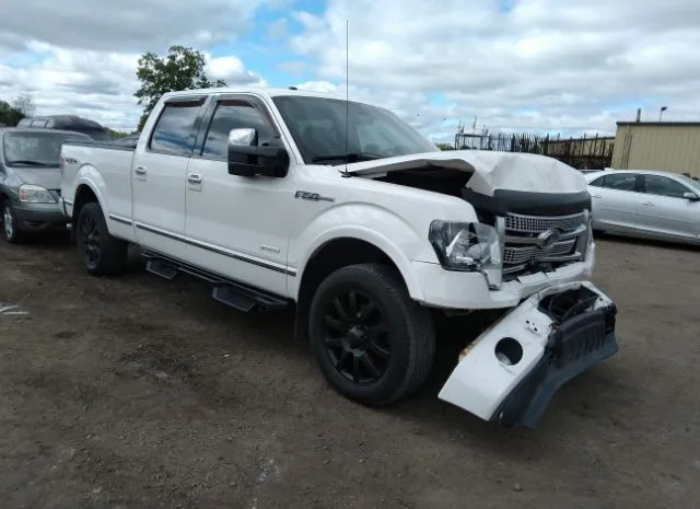 FORD F-150 2012 1ftfw1et2cfa49901