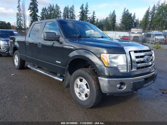 FORD F-150 2012 1ftfw1et2cfa97091