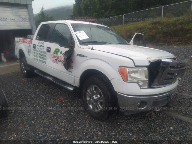 FORD F-150 2012 1ftfw1et2cfc00364