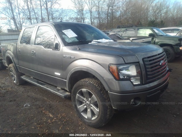 FORD F-150 2012 1ftfw1et2cke32034