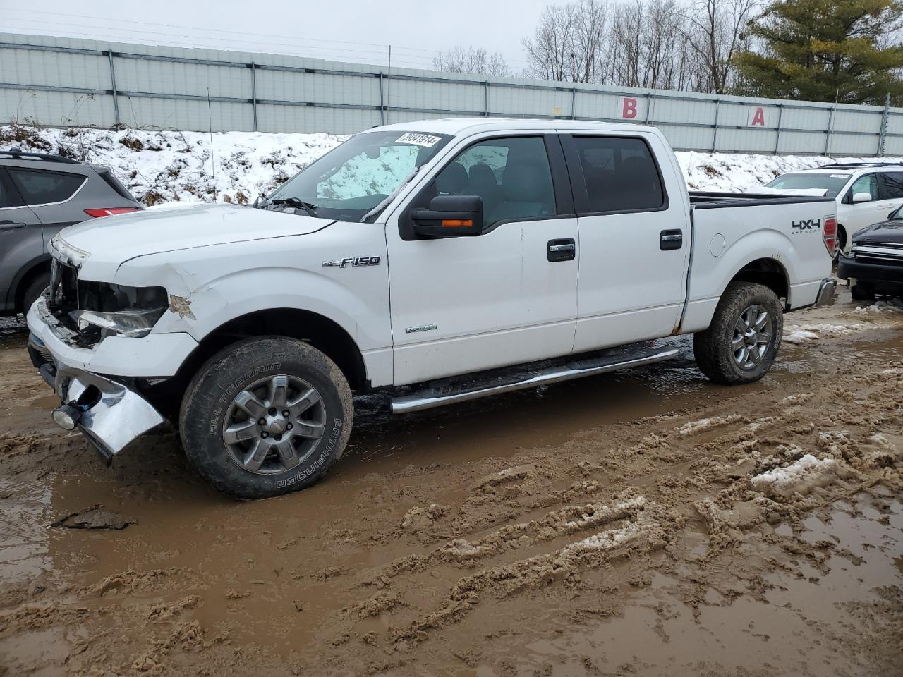 FORD F-150 2013 1ftfw1et2dfa03793