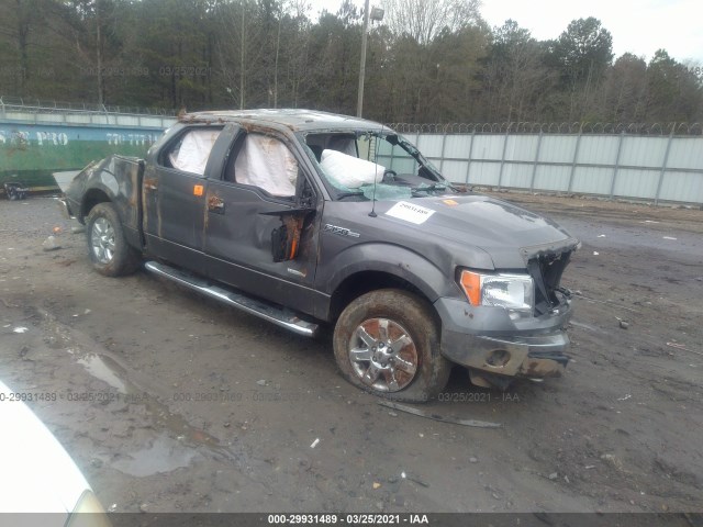 FORD F-150 2013 1ftfw1et2dfa10114