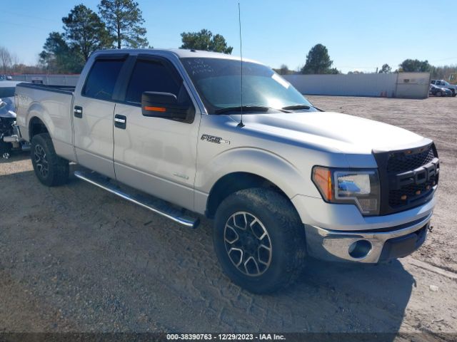 FORD F-150 2013 1ftfw1et2dfa10761