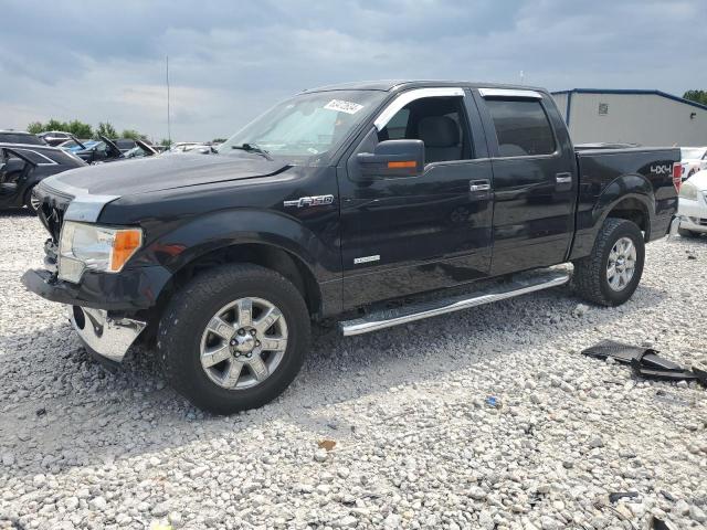 FORD F-150 2013 1ftfw1et2dfa36826