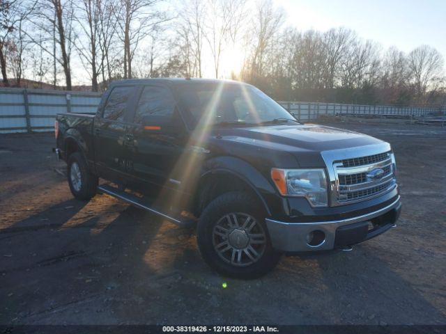 FORD F-150 2013 1ftfw1et2dfb08205