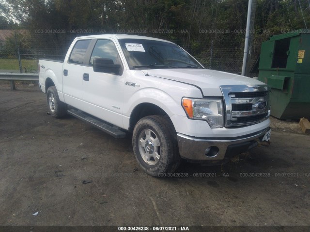 FORD F-150 2013 1ftfw1et2dfb37381