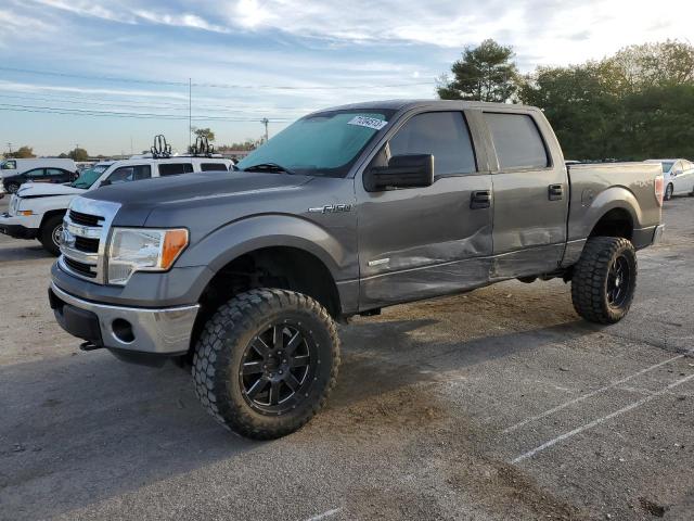 FORD F-150 2013 1ftfw1et2dfb38529