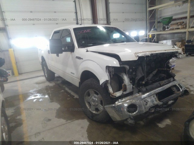 FORD F-150 2013 1ftfw1et2dfb46906