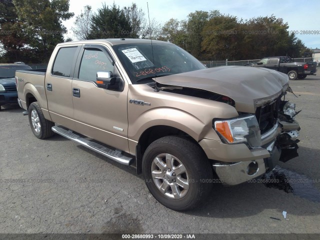 FORD F-150 2013 1ftfw1et2dfb94616