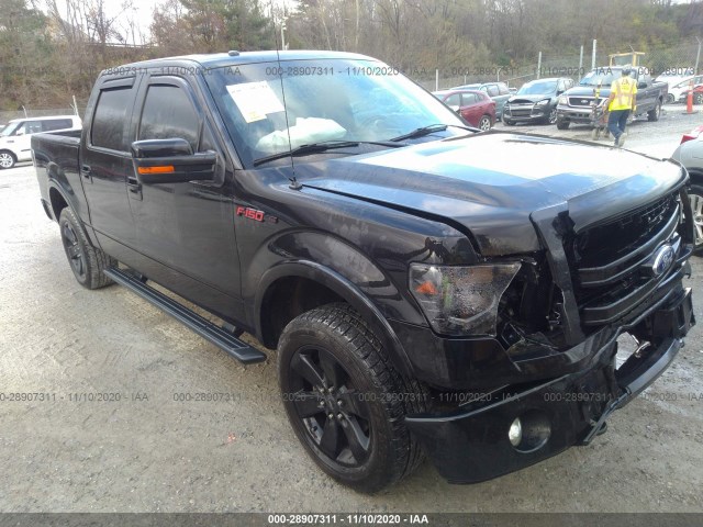 FORD F-150 2013 1ftfw1et2dfc02181