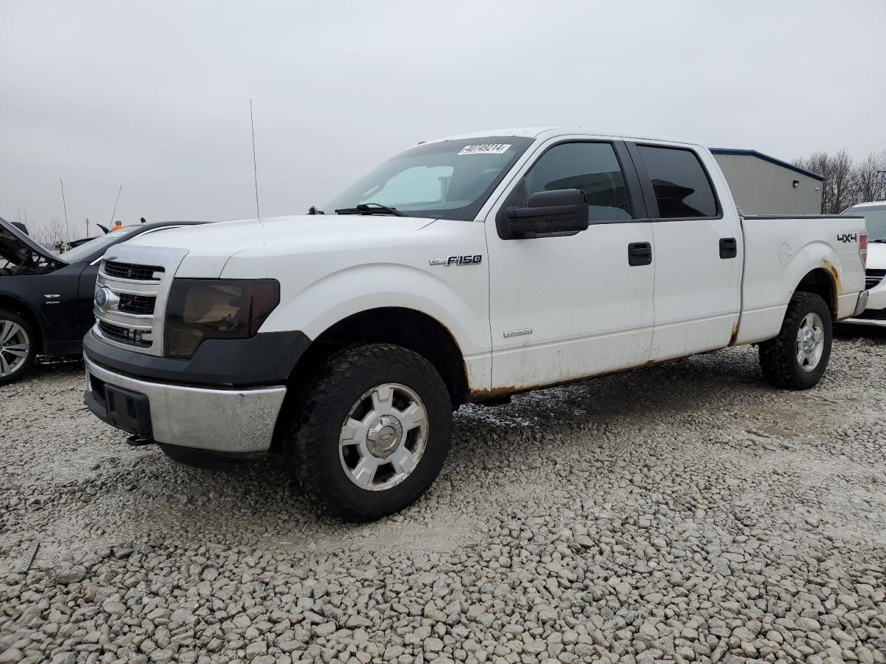 FORD F-150 2013 1ftfw1et2dfc21894