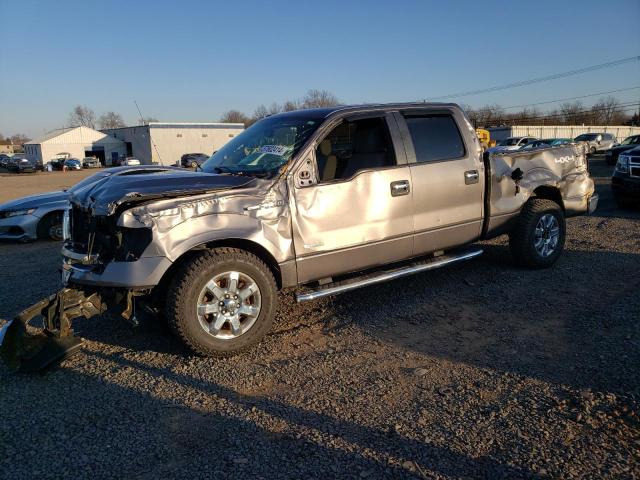 FORD F-150 2013 1ftfw1et2dfc84431