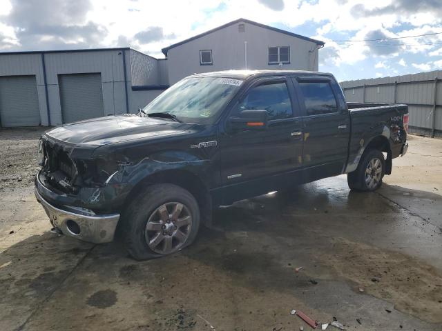 FORD F-150 2013 1ftfw1et2dfd09506