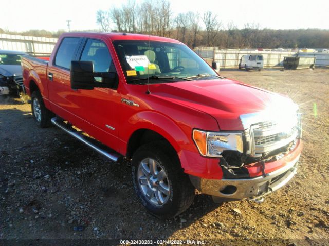 FORD F-150 2013 1ftfw1et2dfd41002