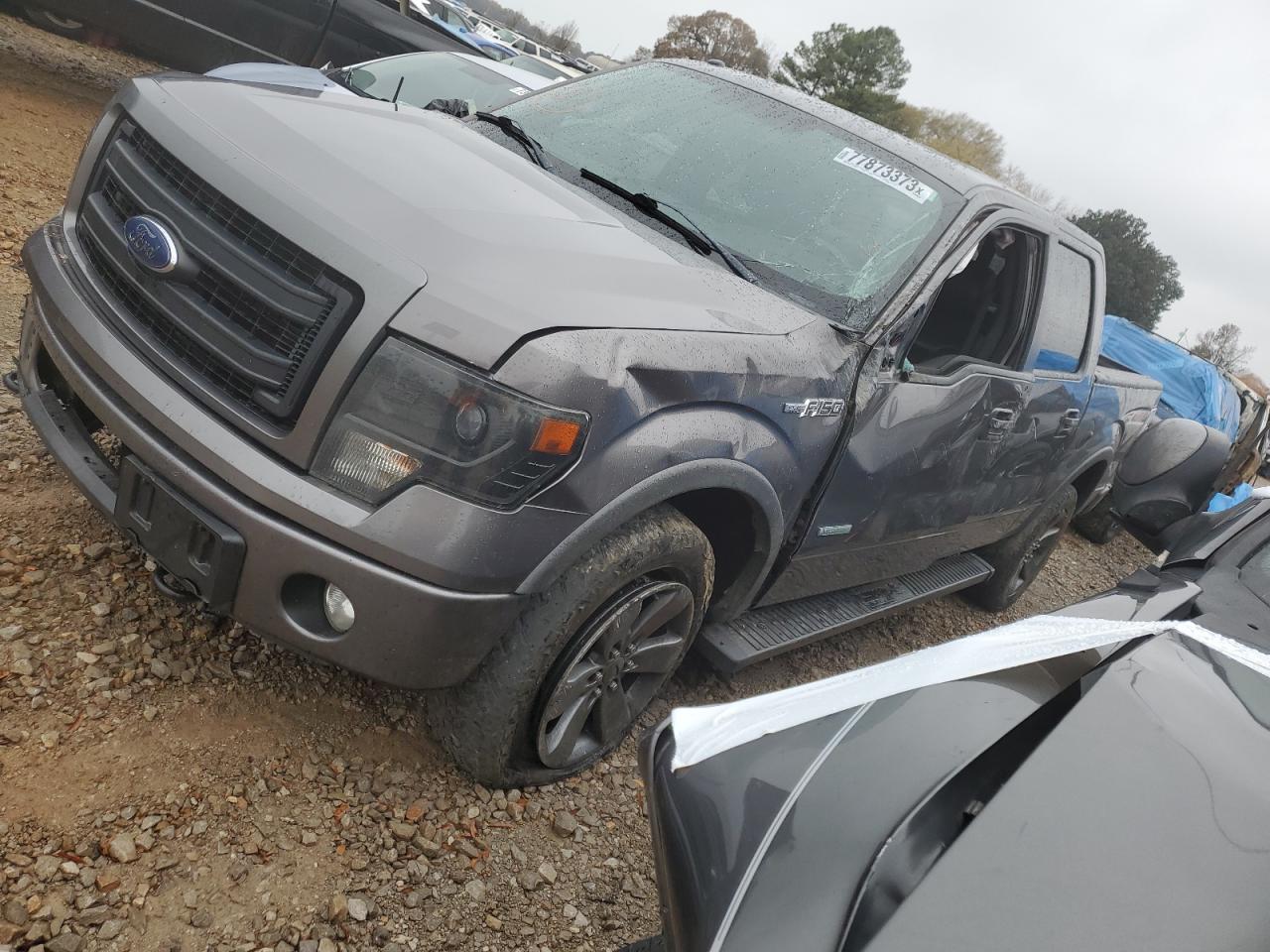 FORD F-150 2013 1ftfw1et2dfd59984