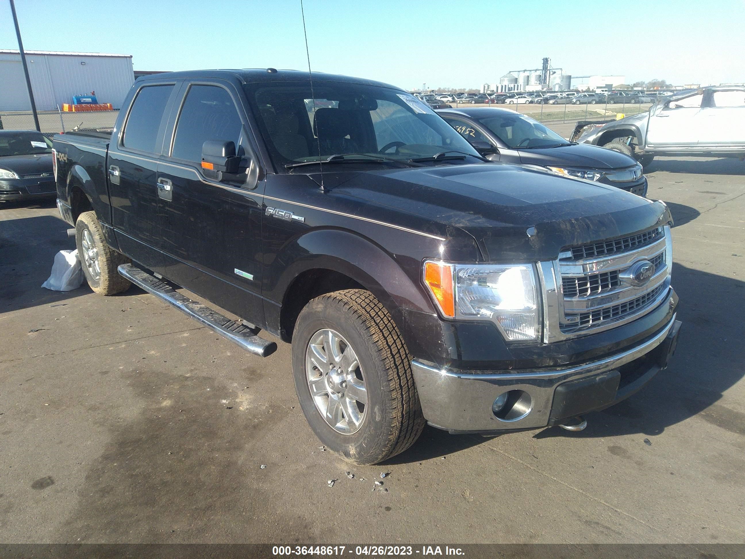 FORD F-150 2013 1ftfw1et2dfd79071