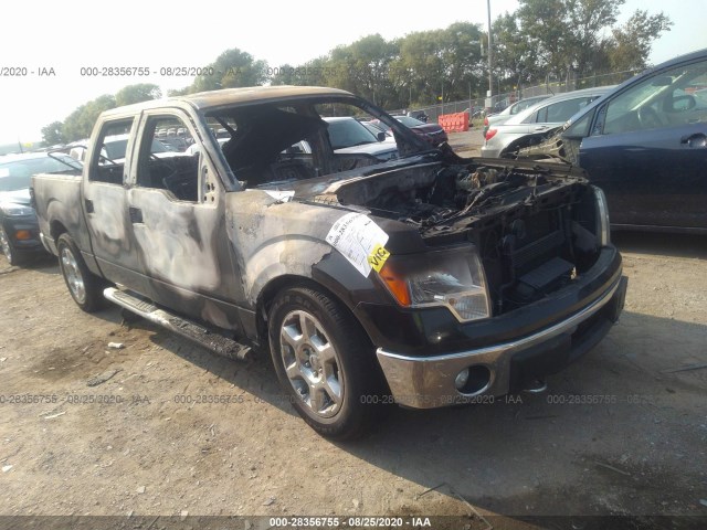 FORD F-150 2013 1ftfw1et2dkd60172