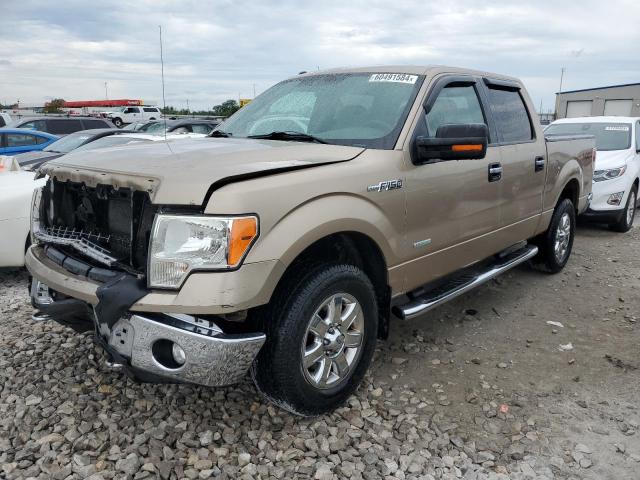 FORD F-150 2013 1ftfw1et2dkd64836