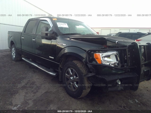 FORD F-150 2013 1ftfw1et2dkd66621