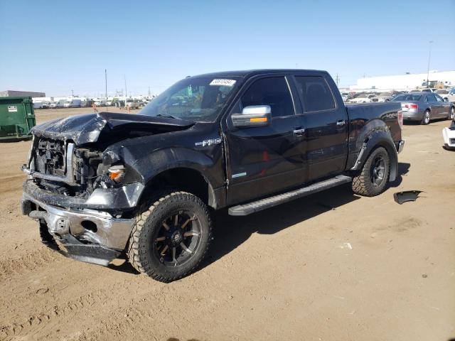 FORD F-150 2013 1ftfw1et2dkf04075