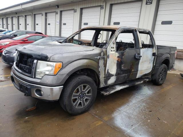 FORD F-150 2013 1ftfw1et2dkf67757