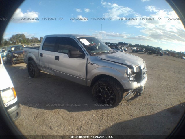 FORD F-150 2013 1ftfw1et2dkf73204