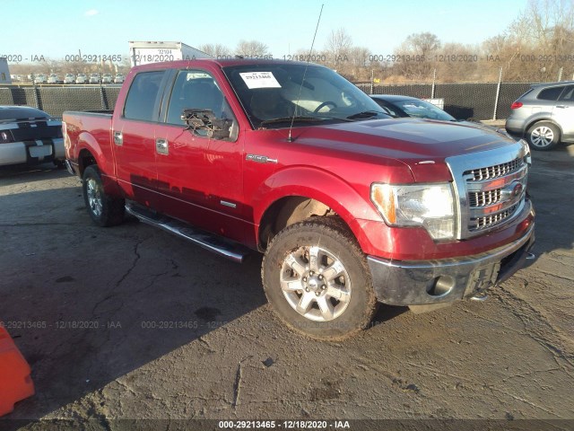 FORD F-150 2013 1ftfw1et2dkf84770