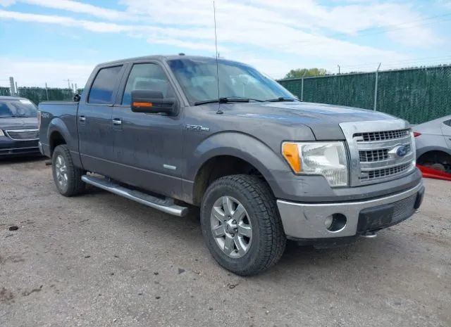 FORD F-150 2013 1ftfw1et2dkg08792