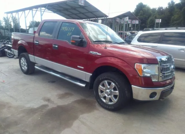 FORD F-150 2013 1ftfw1et2dkg16066