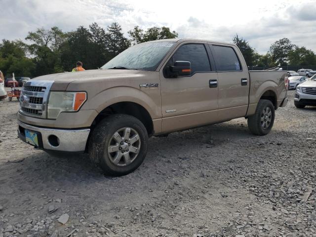 FORD F150 SUPER 2013 1ftfw1et2dkg24085