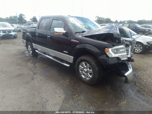 FORD F-150 2014 1ftfw1et2efa49352