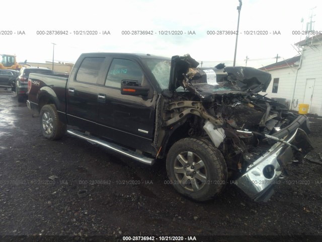 FORD F-150 2014 1ftfw1et2efa60285