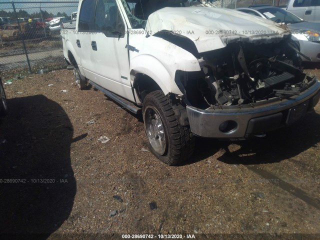 FORD F-150 2014 1ftfw1et2efb45921