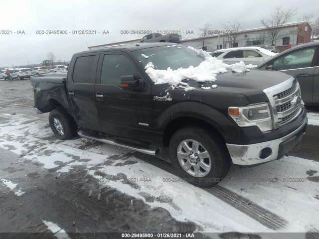 FORD F-150 2014 1ftfw1et2efc06989