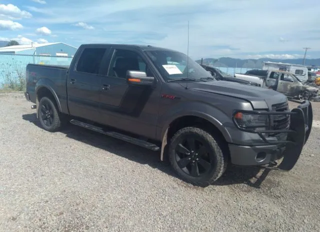 FORD F-150 2014 1ftfw1et2efc78159