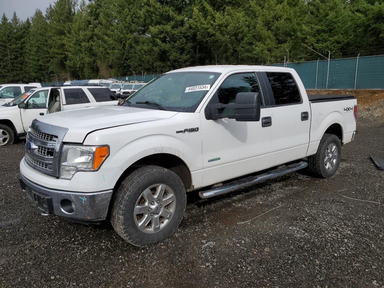 FORD F-150 2014 1ftfw1et2ekd81847