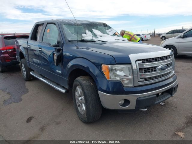 FORD F-150 2014 1ftfw1et2eke47667