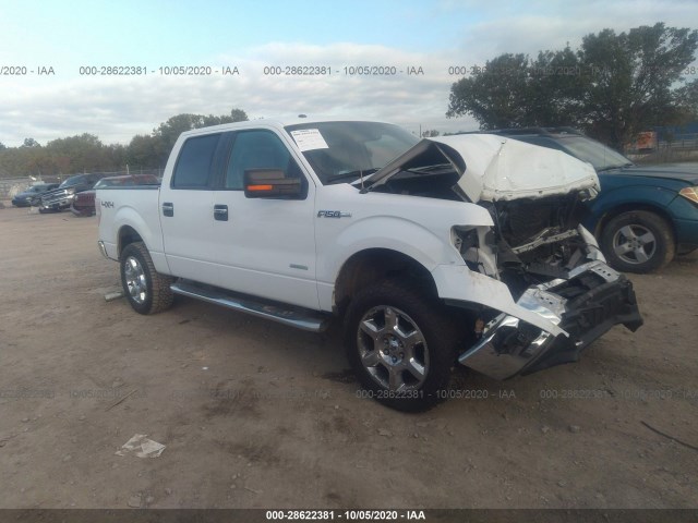 FORD F-150 2014 1ftfw1et2ekg56861