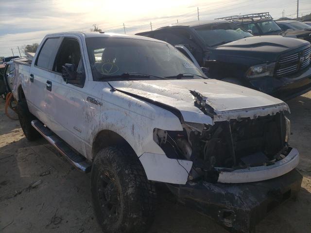 FORD F150 SUPER 2011 1ftfw1et3bfa59951