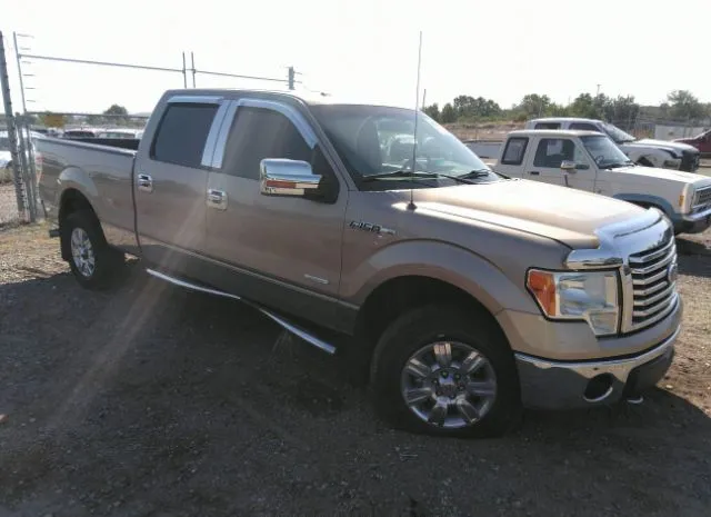 FORD F-150 2011 1ftfw1et3bfb12969