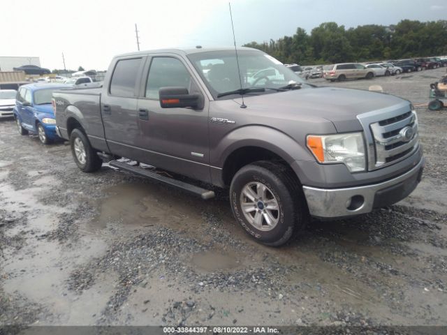 FORD F-150 2011 1ftfw1et3bfb32851