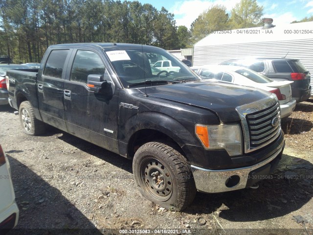 FORD F-150 2011 1ftfw1et3bfb67843