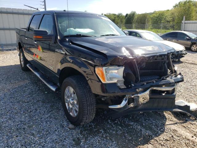 FORD F-150 2011 1ftfw1et3bfc04549