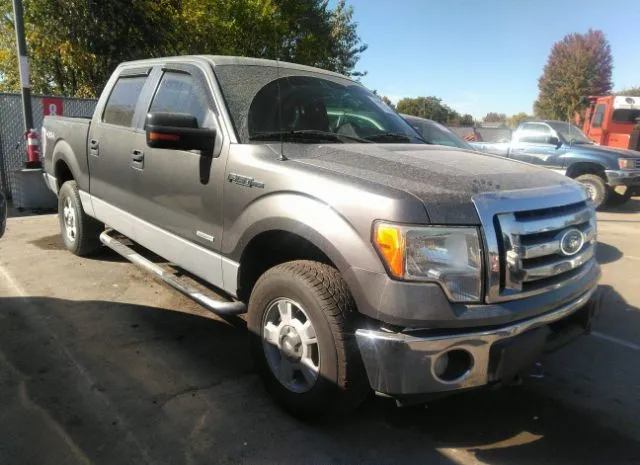 FORD F-150 2011 1ftfw1et3bfc58319